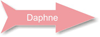 Pink arrow custom shaped name tag