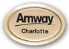 Oval metal name tag with gold frame