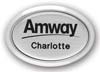 Silver oval name badge